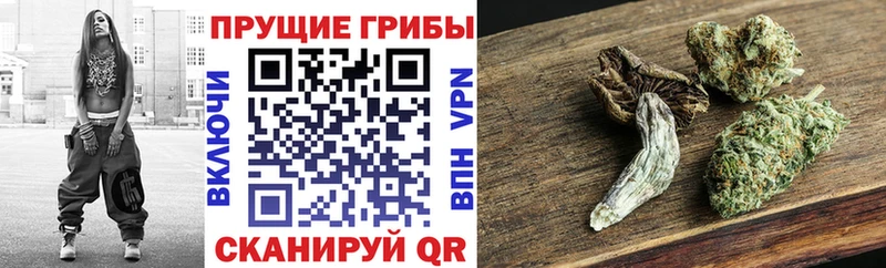 Галлюциногенные грибы мухоморы  Тырныауз 